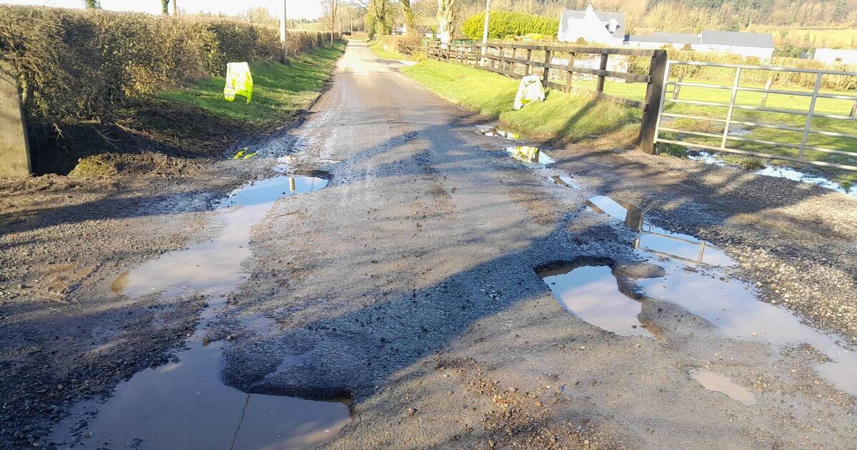 Claims budget did not do enough to address future of Cork transport