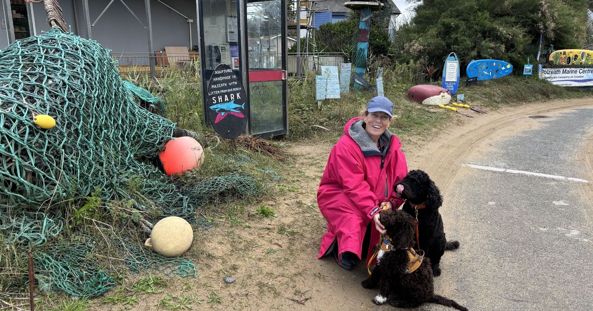 'Dogs deserve to be there' as public given say on beach bans