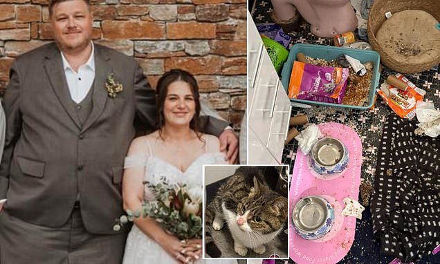 Unmasked: Couple who put Princess the cat through unspeakable evil
