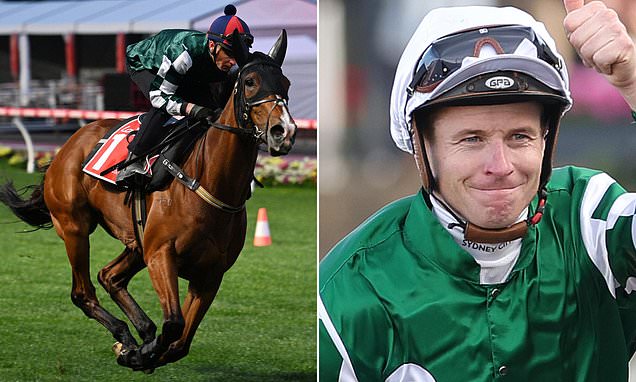 Cox Plate 2025 preview: Why the result appears to be a formality