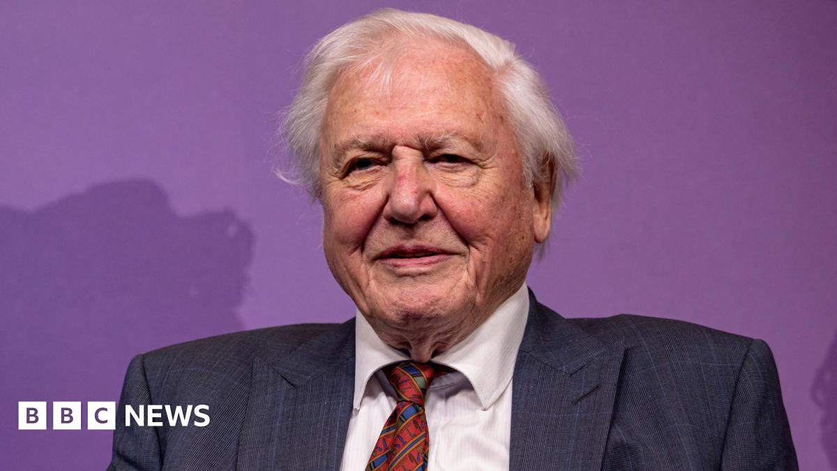 Sir David Attenborough is oldest Daytime Emmy winner for Secret Lives of Orangutans