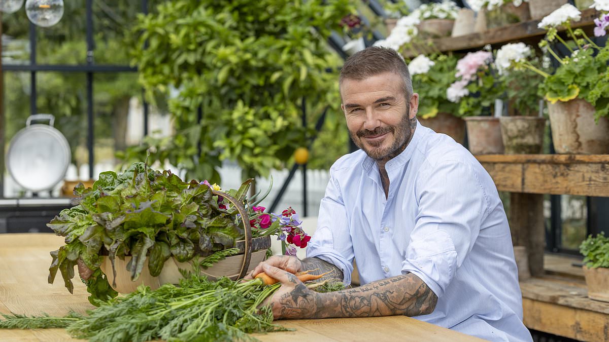 David Beckham finds peace in his Cotswolds garden...
