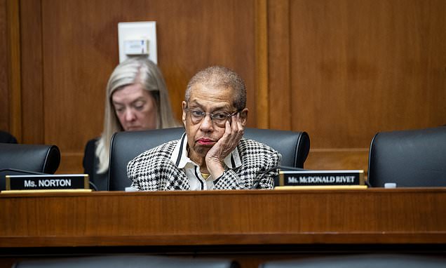 Dem congresswoman robbed at home by fake cleaning crew