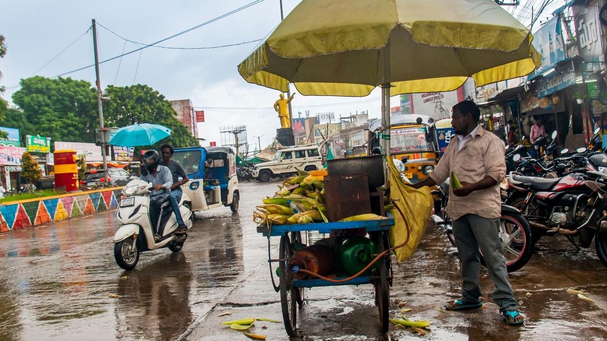 Depression forms over Bay, red alerts for 12 districts in A.P. during cyclonic storm