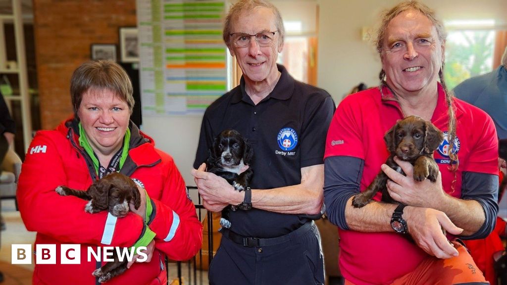 Derby team reunited with dog from cliff face rescue