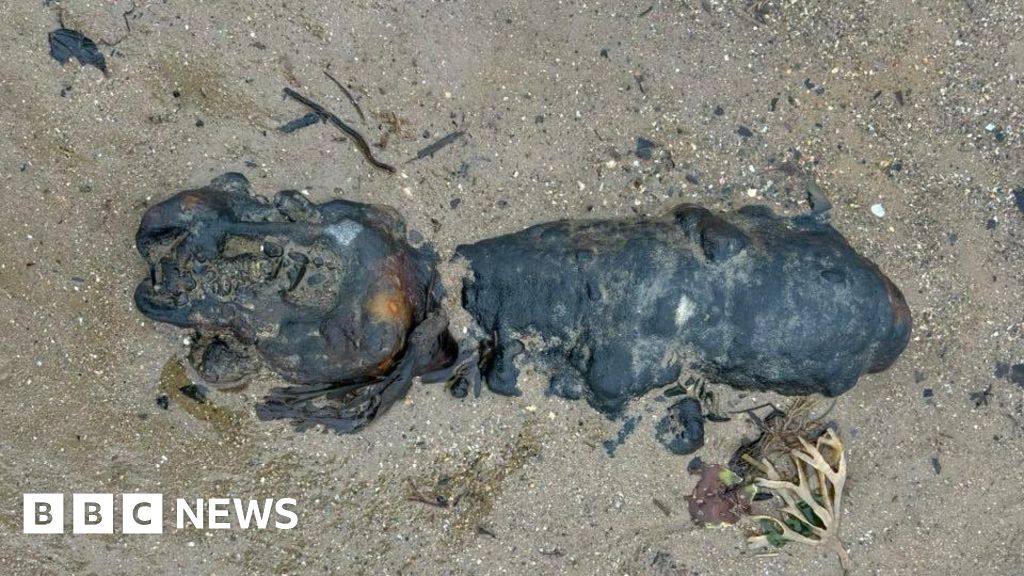 Bomb squad called to Drigg beach artillery find