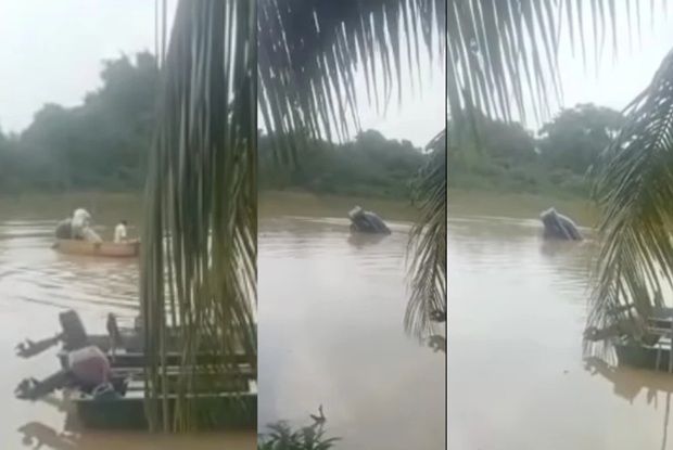 Body of driver found after car plunges into Sungai Panchor