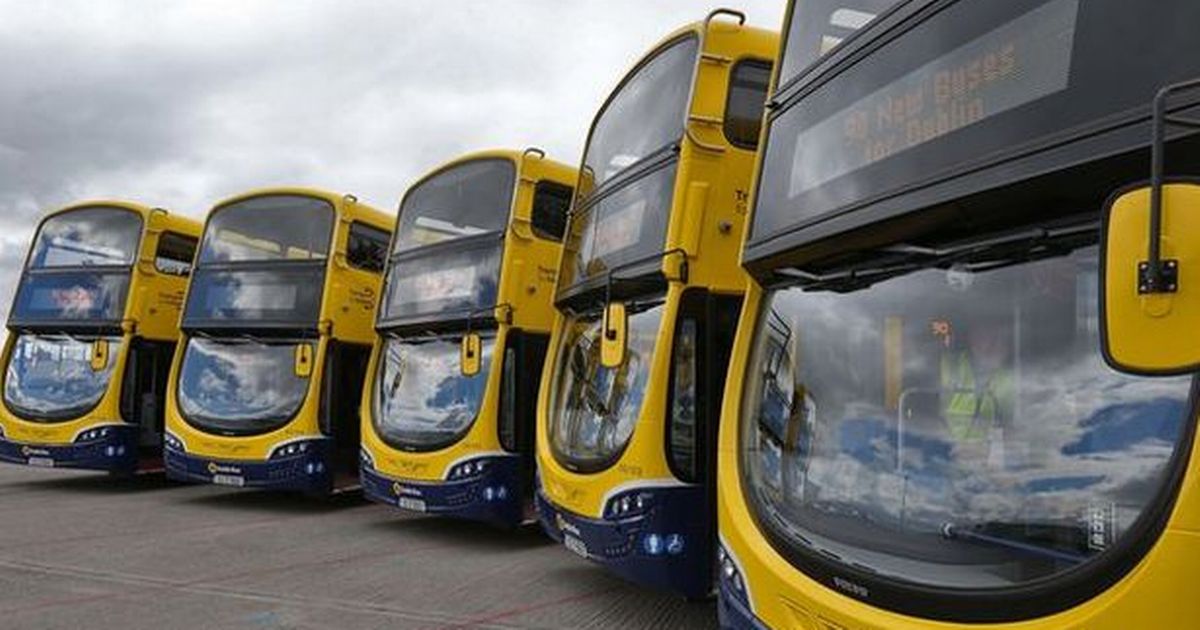 Three new 24-hour services to be launched this weekend as 10 existing Dublin Bus routes axed - Irish Mirror