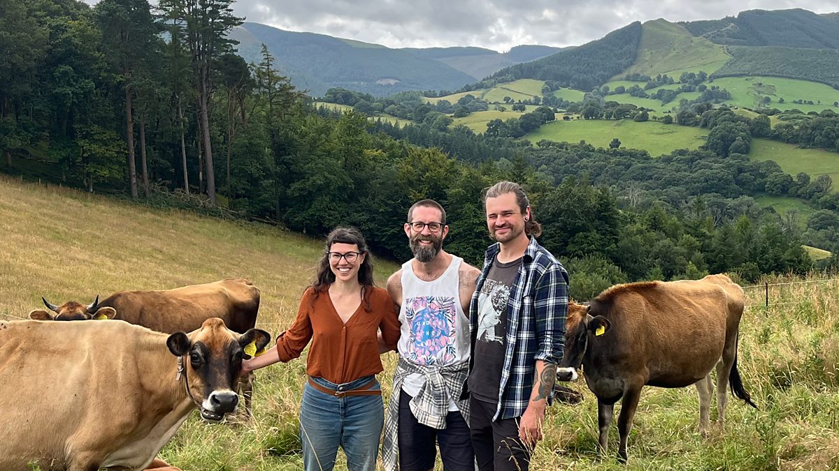 BBC Radio 4 - On Your Farm, Dyfi Dairy: Rescue, Retirement and Rich Rewards