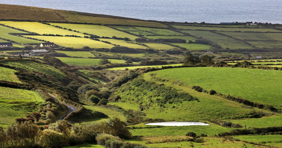 Eamon Ryan: Why is the Government delaying publication of the land use review?