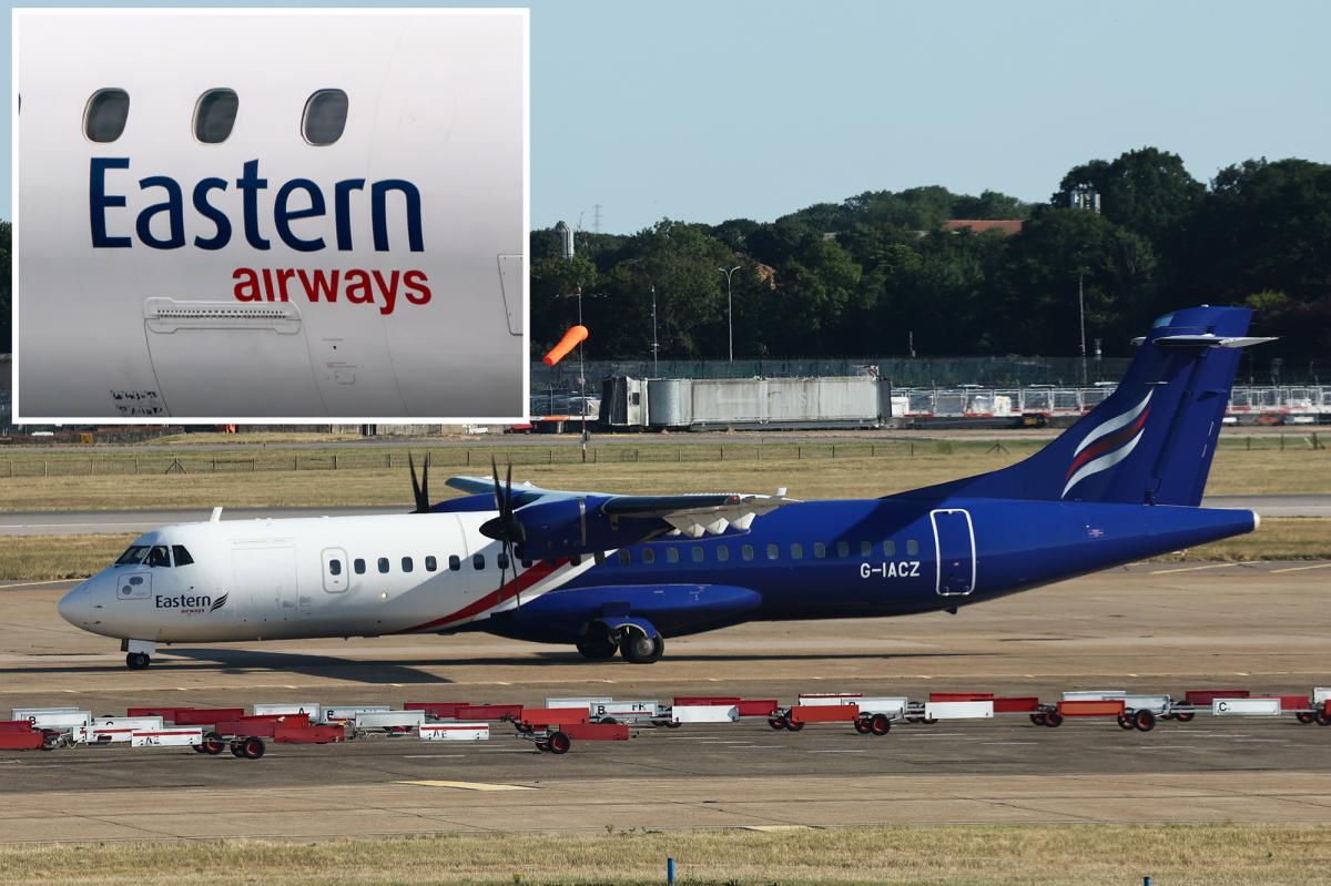 UK airline Eastern Airways  suspends operations in face of collapse
