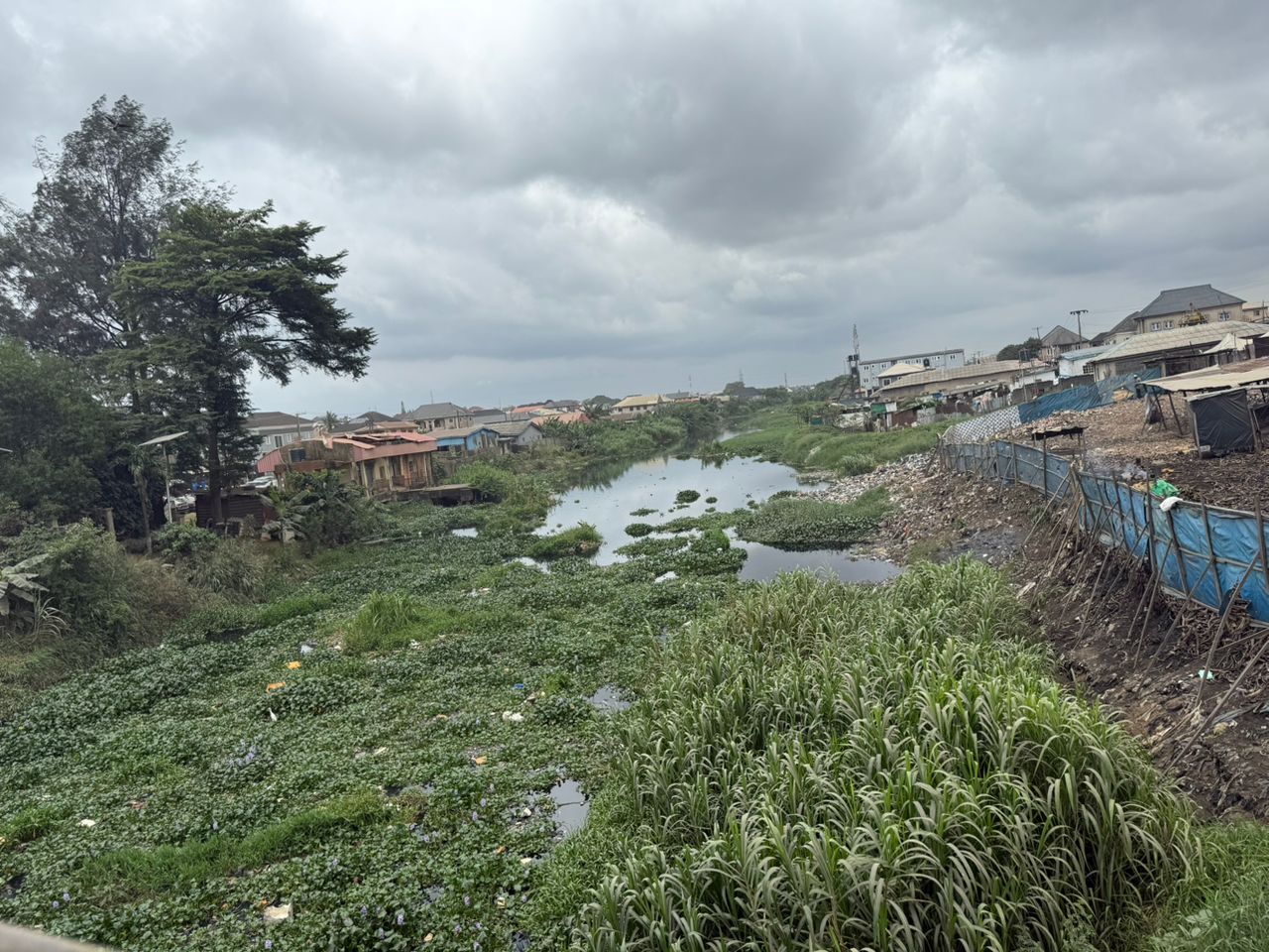 Ejigbo residents lament neglect of Oke-Afa canal, fear flooding, reptiles