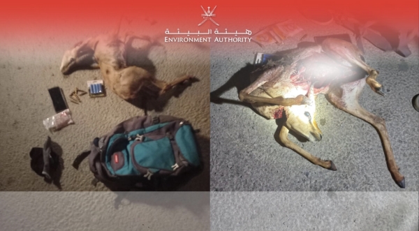 EA arrests suspect for hunting arabian gazelle