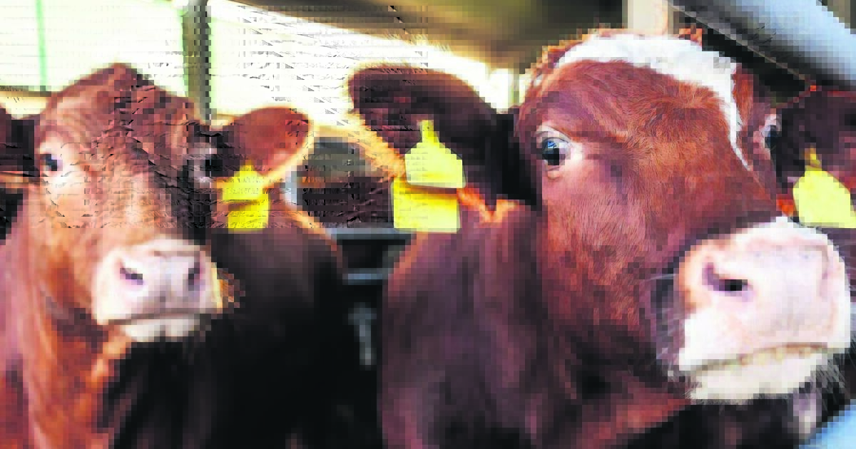 The EU-Mercosur deal: Next steps for trade agreement