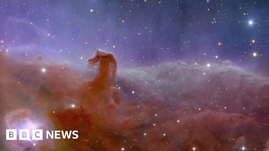 Euclid: Space professor reflects on success of satellite