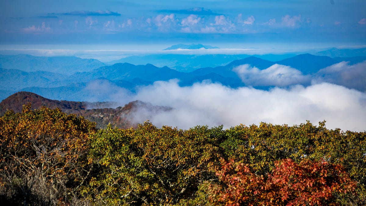 Fall foliage forecaster predicts peak for leaf peeping season in Western North Carolina