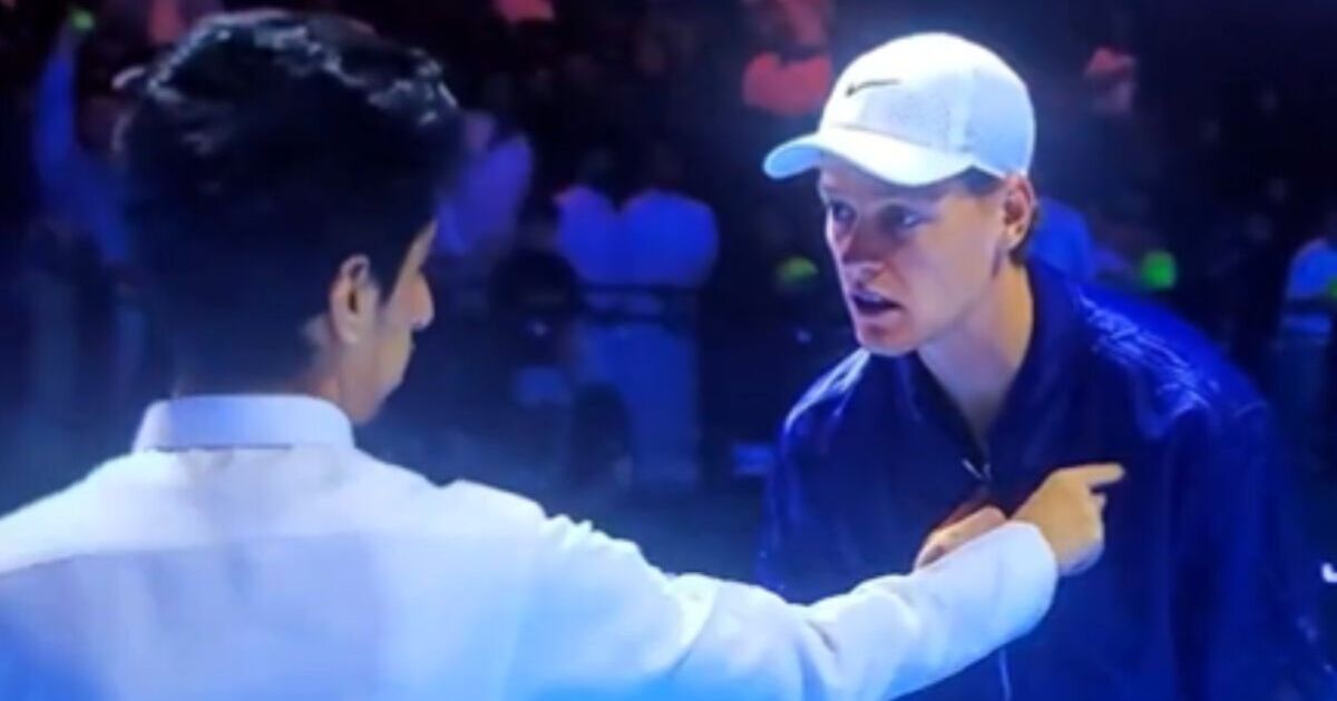 Fan storms court and dragged away by security after confronting Jannik Sinner