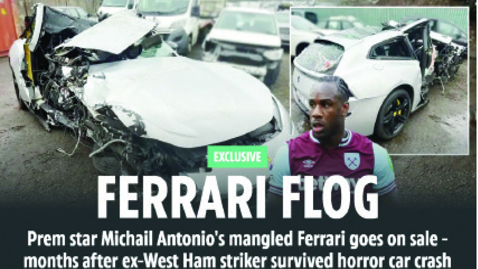 Ferrari Flog - herald