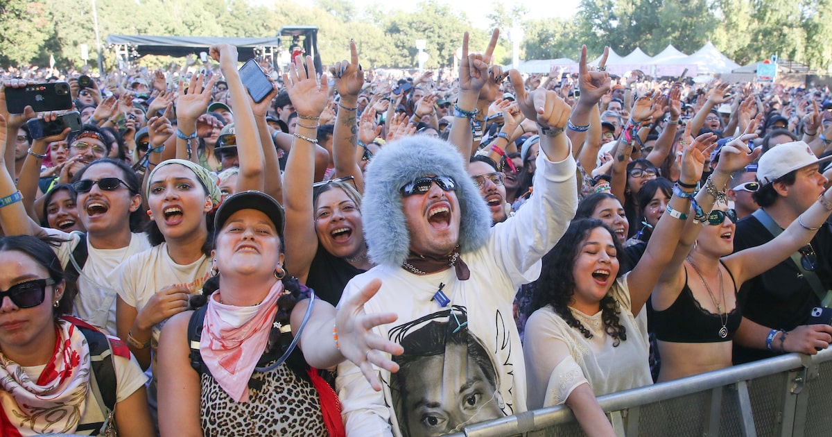 Festival season brings real-life connections