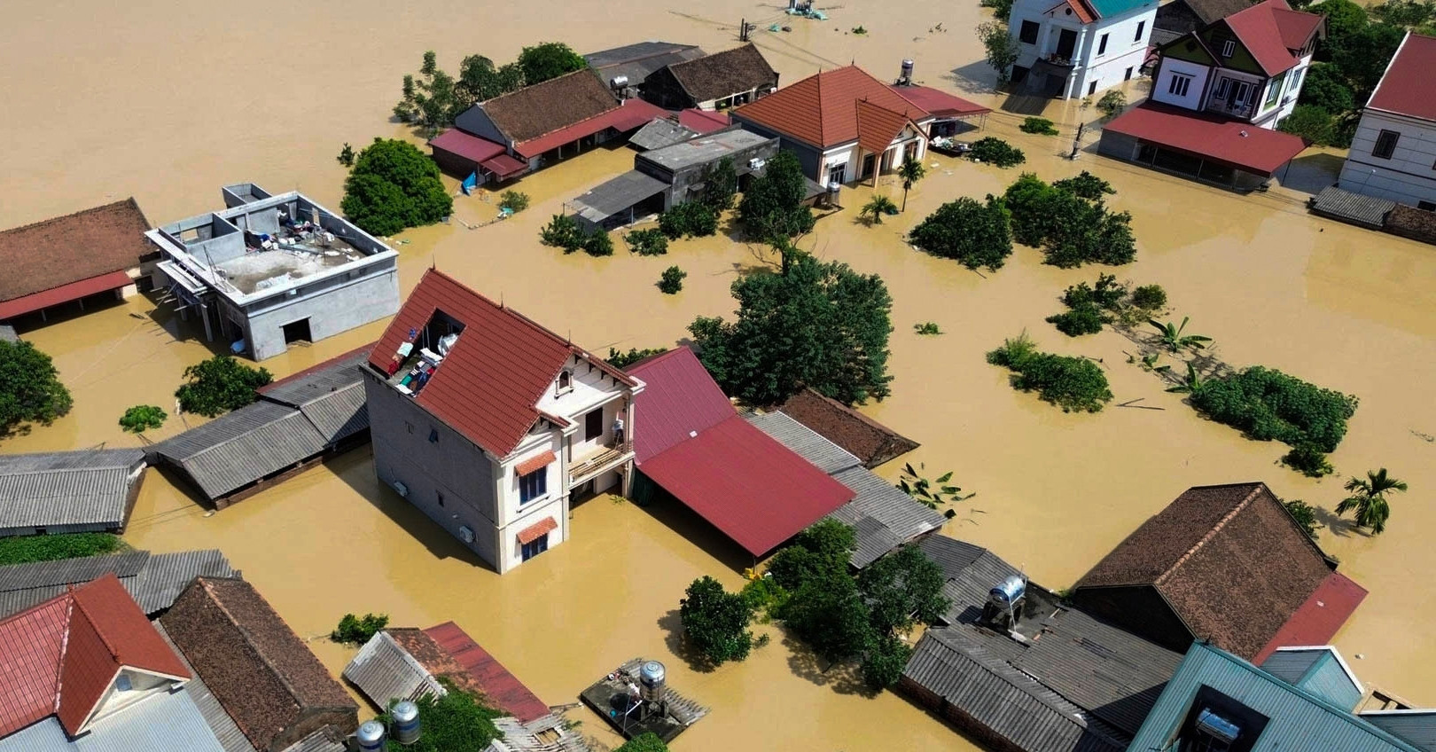 Rising from the floodwaters