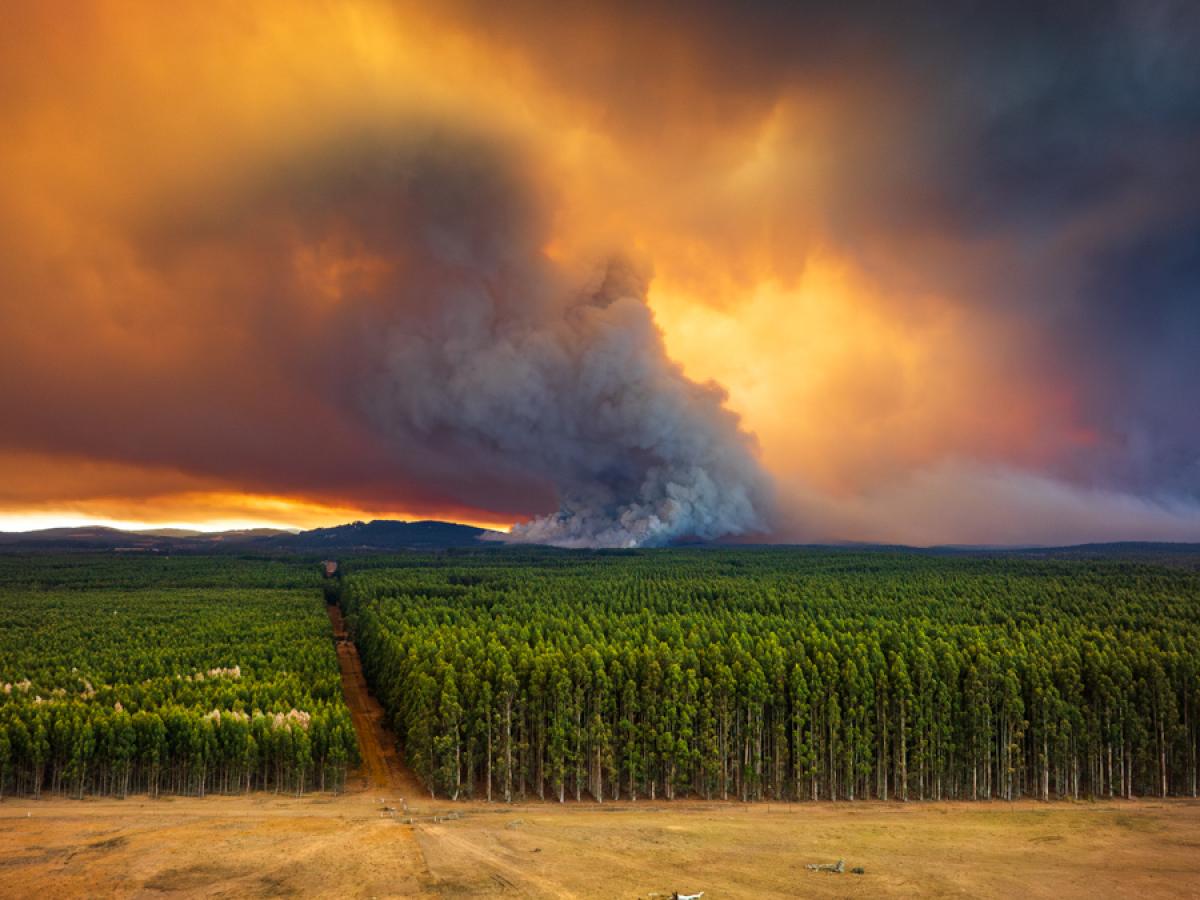 Research Ties Fossil Fuel Projects To Warming, Climate Disasters