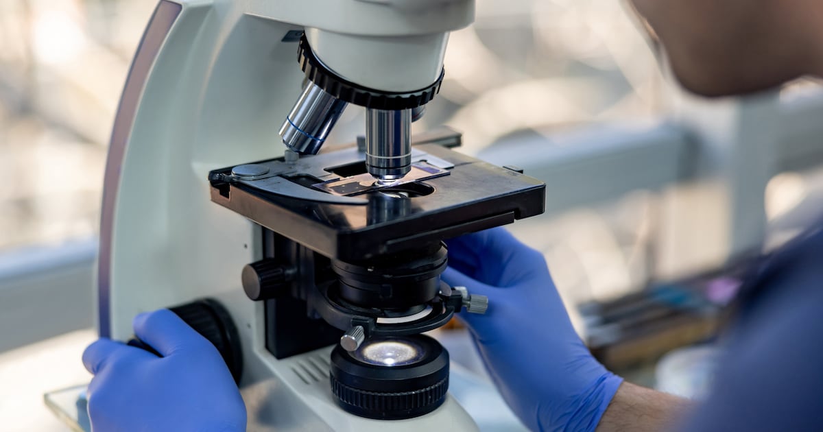 Fota Wildlife Park in Cork to close temporarily over suspected bird flu