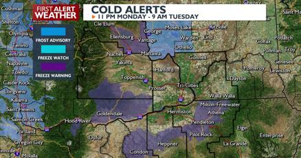 Freeze Warnings Issued for Foothills & Valleys - Brace for Chilly Mornings Ahead.