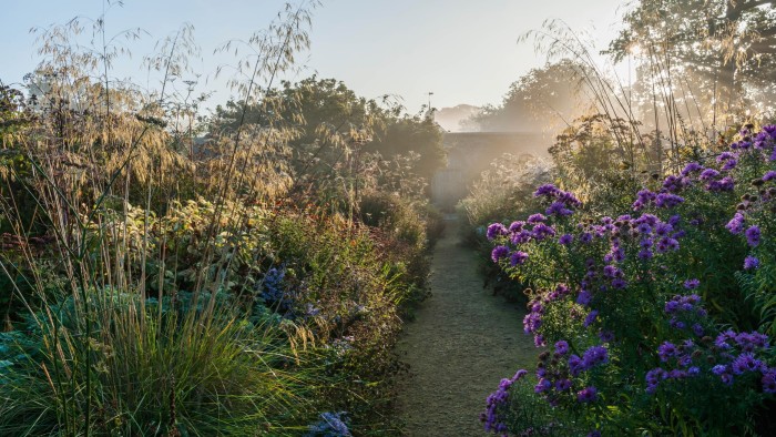 Divide and conquer: my new regimen for the garden in October