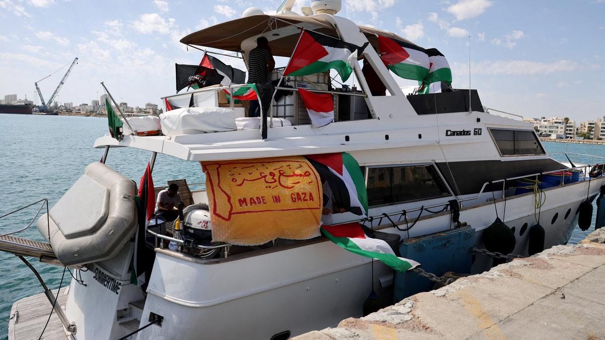 'We were treated like animals', deported Gaza flotilla activists say