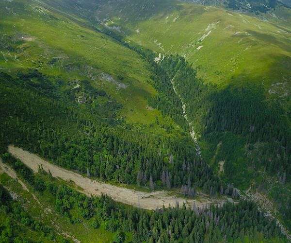 Global goal to end deforestation nowhere near being met: experts