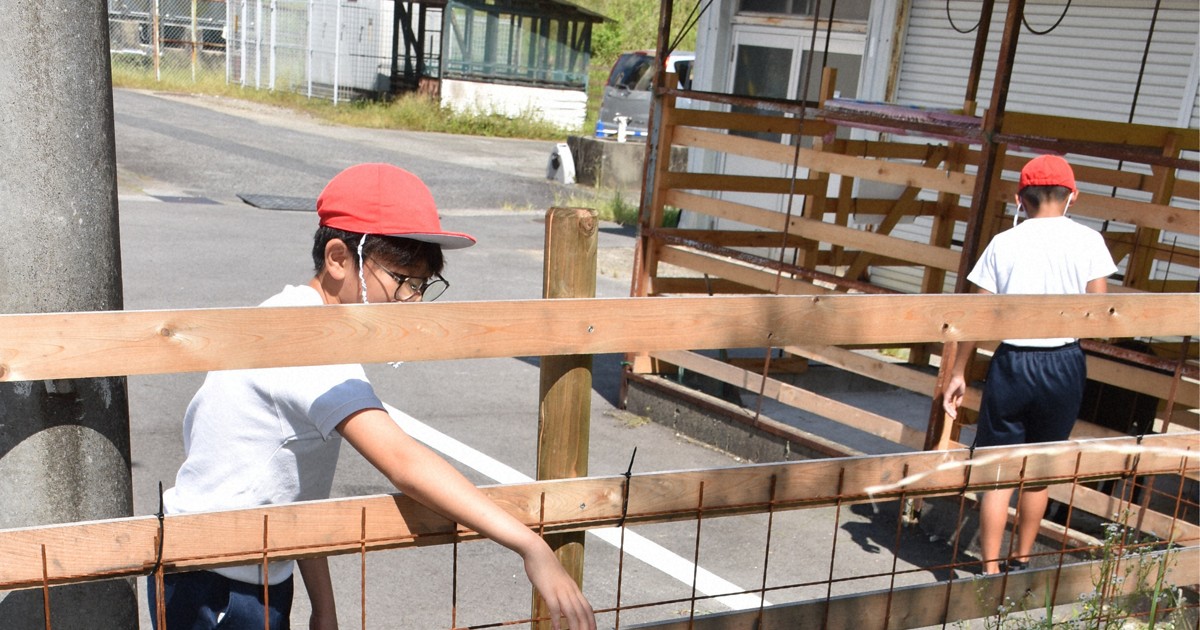 Easy Japanese news in translation: Goats help clean schoolyard in Gifu Prefecture