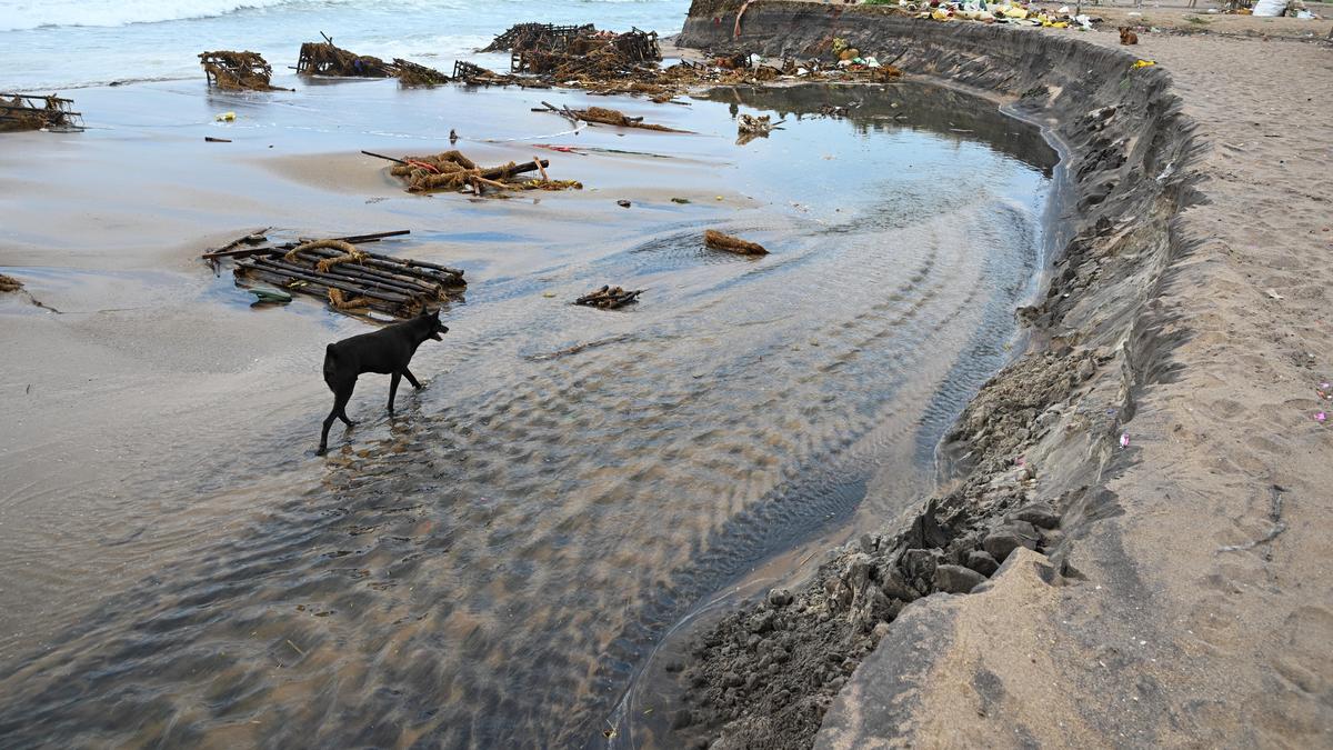 Great Green Wall to protect Andhra Pradesh's coastline from cyclones and environmental degradation