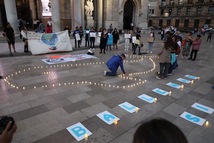 Gulf of California whales sue for their right to a livable habitat