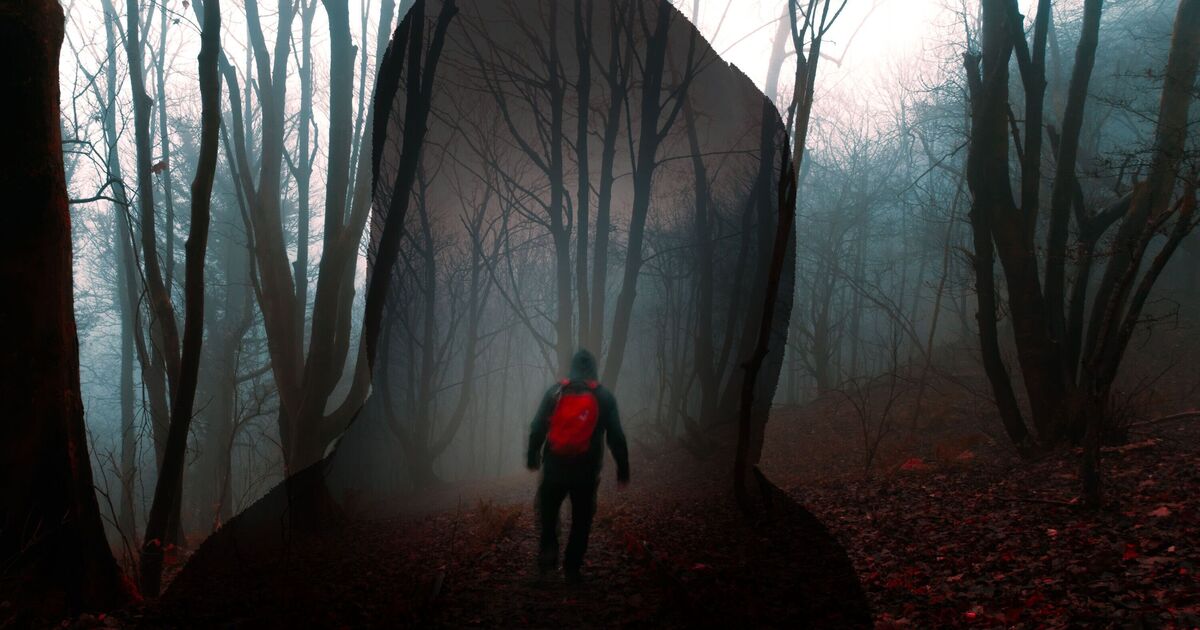 Three of the most haunted woods in UK  --  including one where Anne Boleyn waits