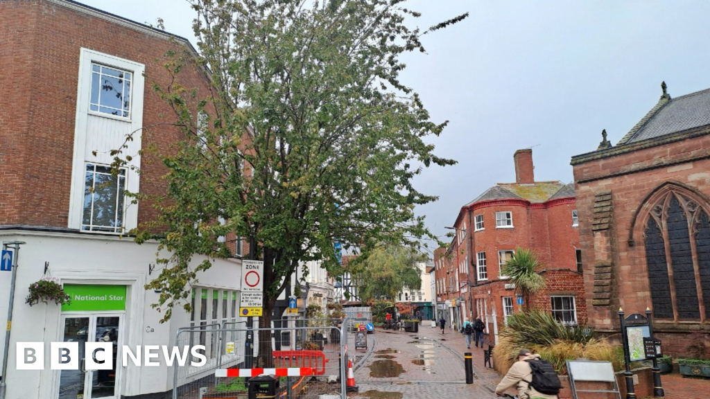 Sadness at potential loss of cherry tree in Hereford