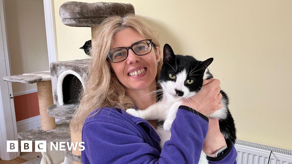 Hessle cat rescue temporarily shuts due to costly vet bills
