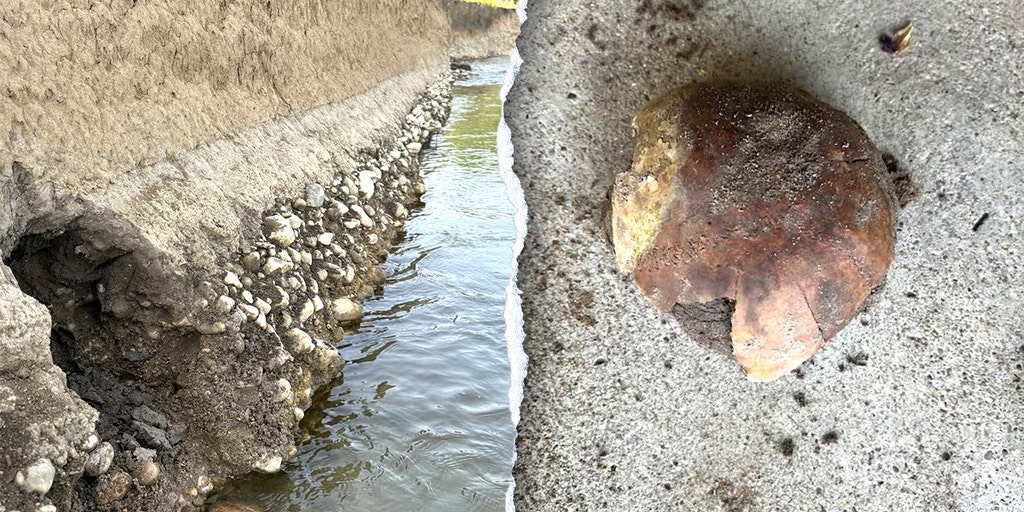 Hobbyist finds 4,270-year-old human skull on Indiana riverbank, stumping authorities