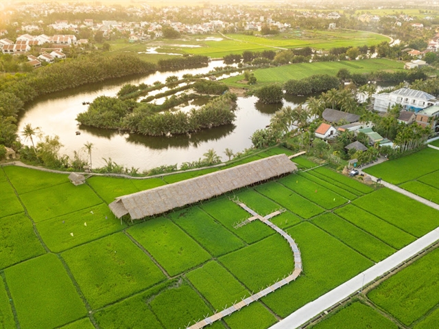 Hội An field restaurant blends green dining with rural charm