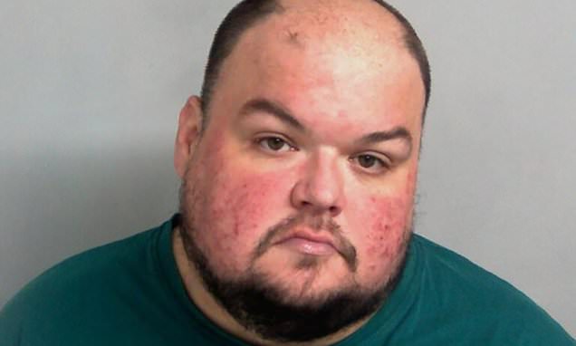 Security guard in sentence appeal bid over Holly Willoughby rape...