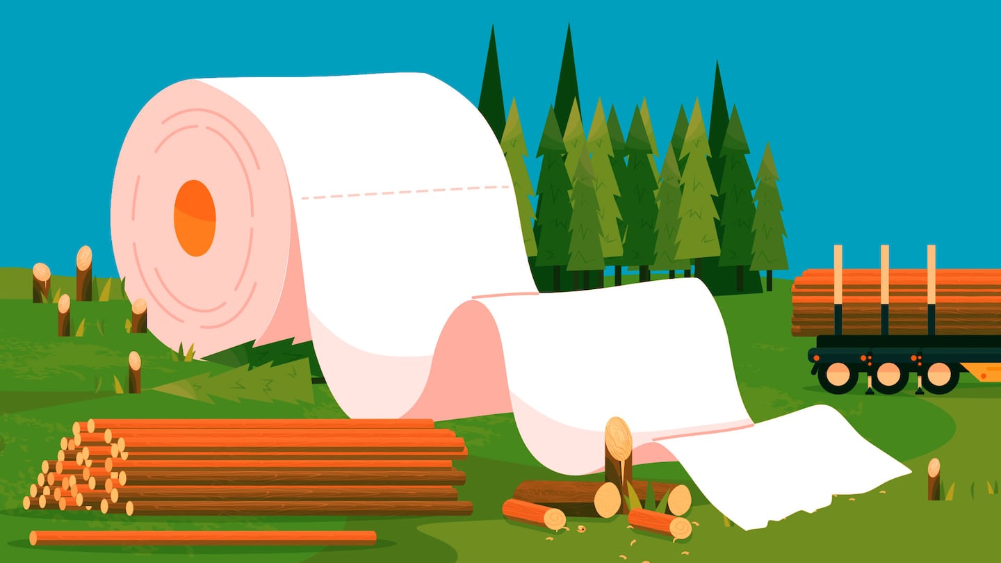 Don't wipe your tush with the boreal - The Boston Globe