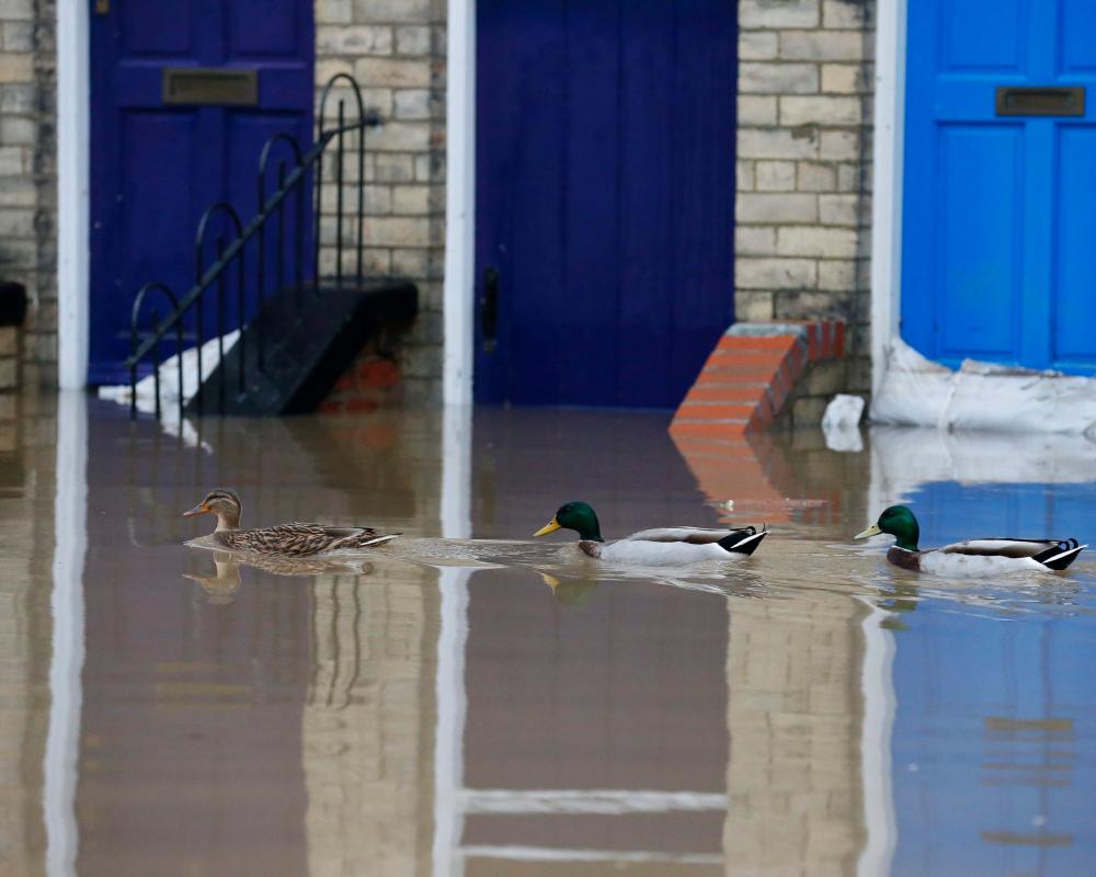 Doors, drains and paving perils: protecting your home from flooding