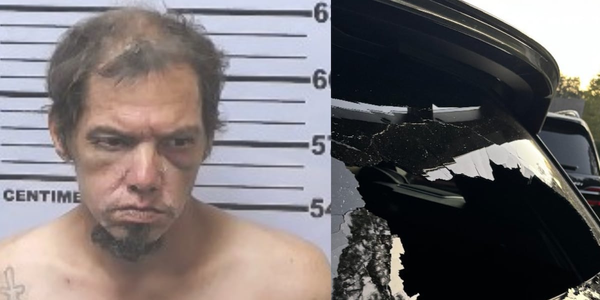 Homeless man beats cars and mailboxes with metal bat, police say