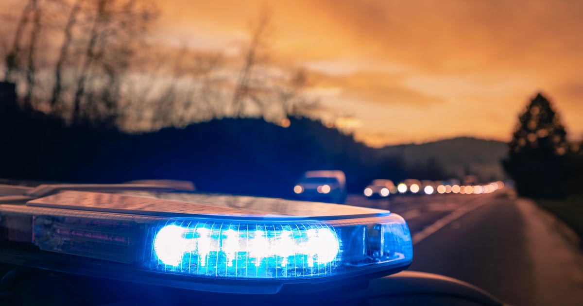 Honduran man killed on Virginia highway as he tried to escape ICE agents