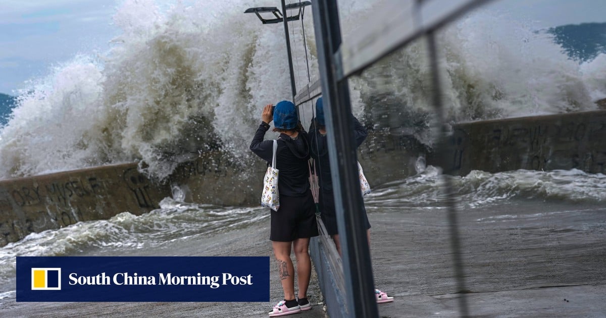 Any law on storm chasing must balance freedom, safety: Hong Kong Bar Association