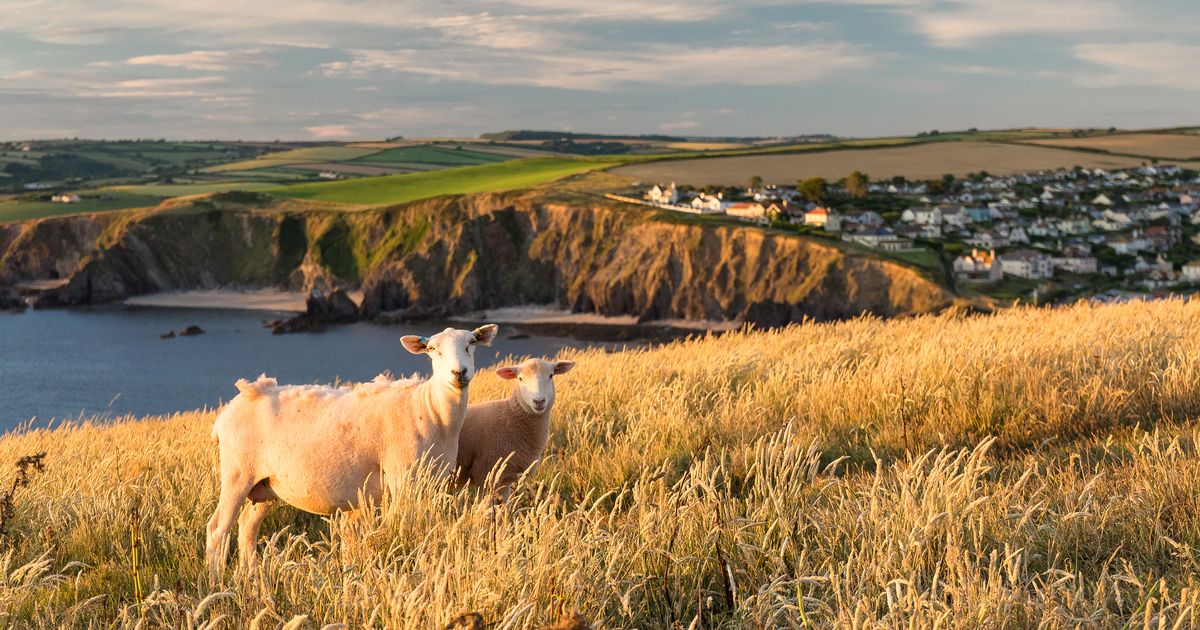 'Picturesque' Devon village with cosy pubs and golden beaches 'feels untouched' | Devon Live