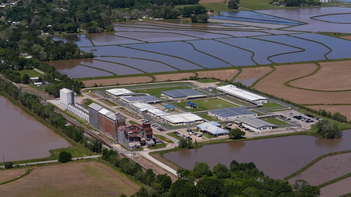 Immigrant rights group calls for removing pregnant women from detention