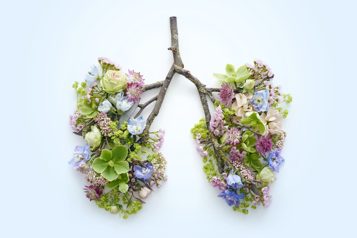 9 Everyday Things That Are Quietly Polluting the Air Inside Your Home