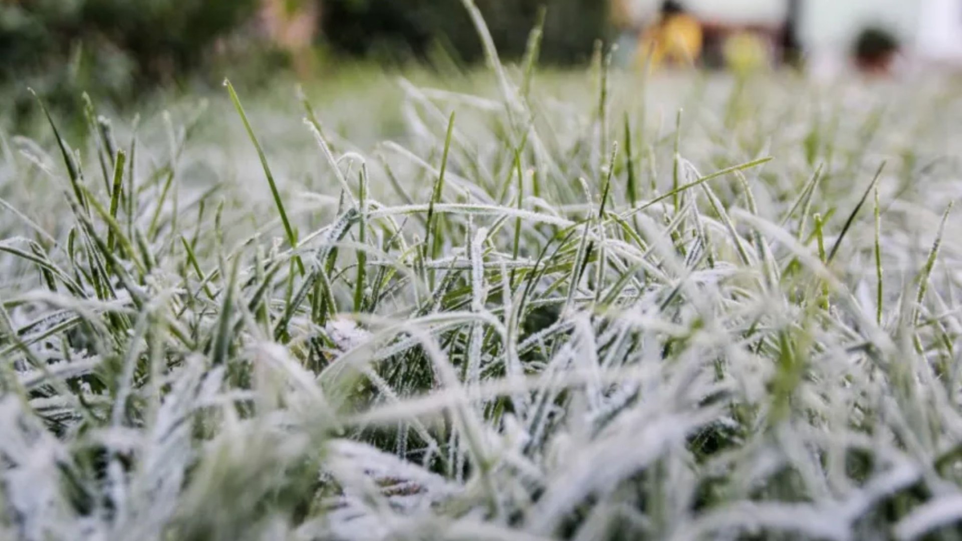 Met Eireann warn of 2C plunge and major frost alert and pinpoint switch day