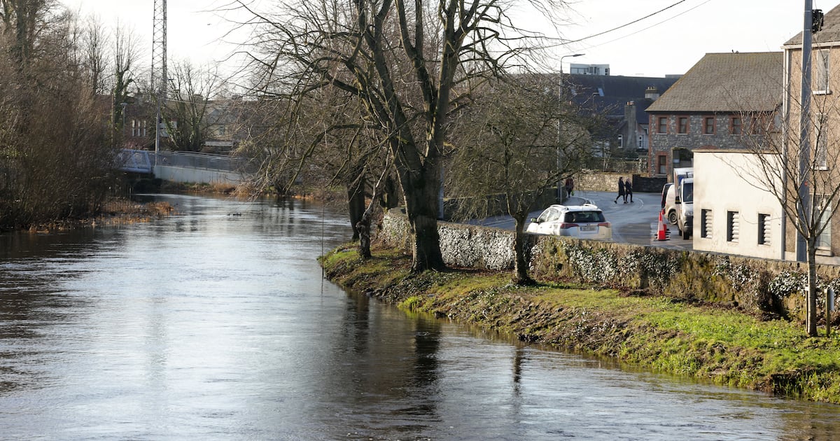 Half of Ireland's rivers, lakes and estuaries in unhealthy state as standards slide again