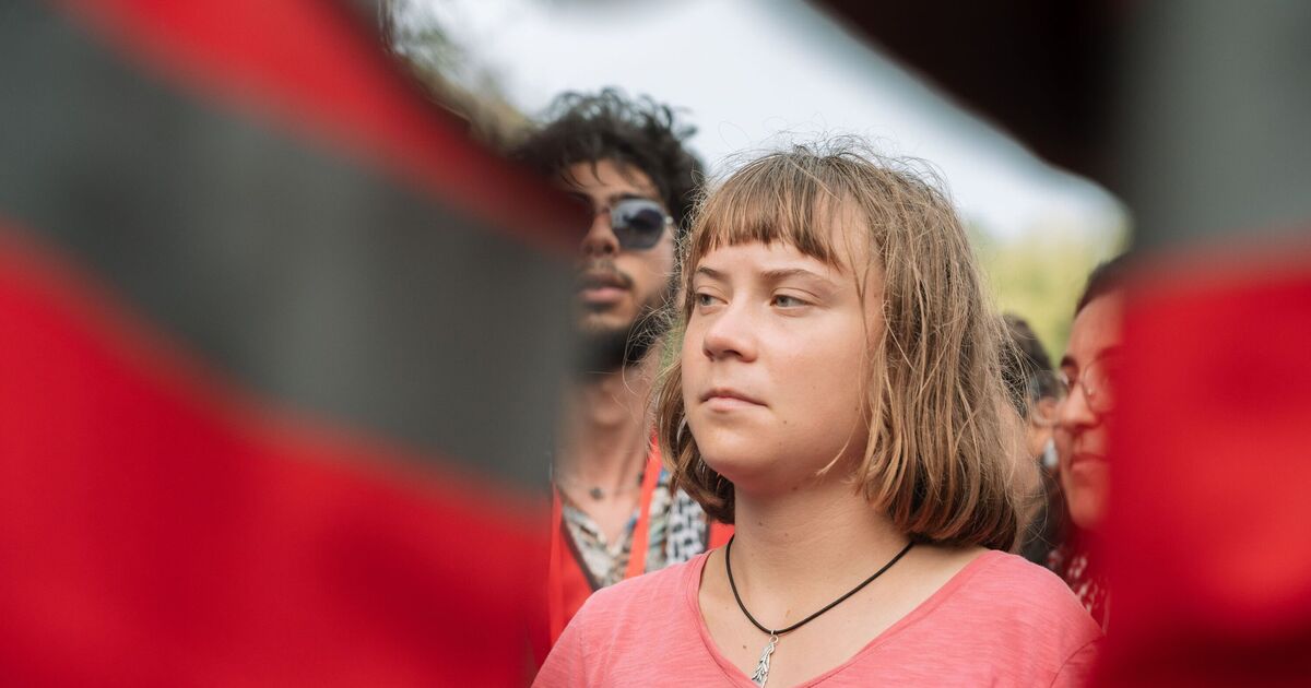 Israel accused of 'torturing' Greta Thunberg after Gaza flotilla intercepted